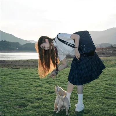 月季花开